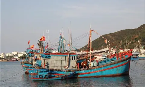 Nhiều chủ tàu lo lắng vì thiếu lao động đi biển
