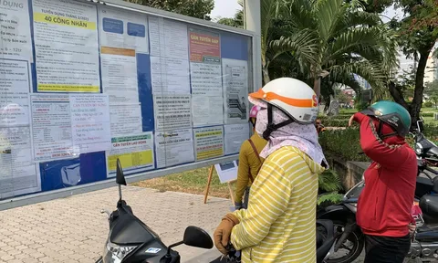 Vẫn còn 5.493 người lao động bị nợ lương hơn 56 tỷ đồng