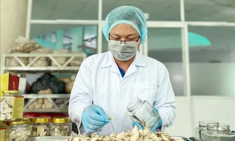Đổi mới cơ chế, chính sách phát triển đội ngũ trí thức khoa học