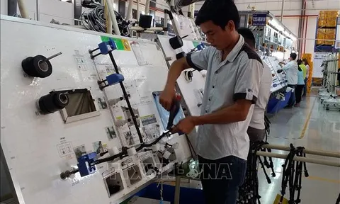 Các địa phương cần sớm xây dựng cơ sở dữ liệu về thị trường lao động