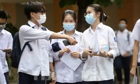 Top những lĩnh vực có tỷ lệ tuyển sinh đại học cao nhất