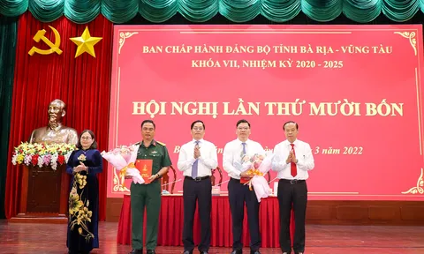 Kiện toàn nhân sự mới tại Bà Rịa-Vũng Tàu, Đồng Nai