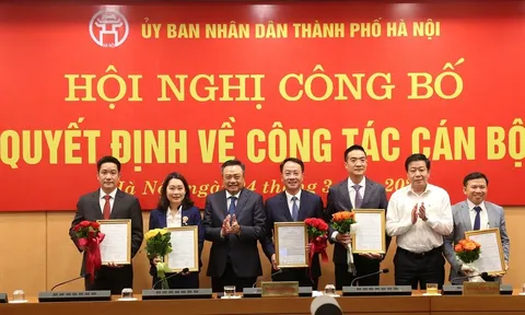 Bổ nhiệm, điều động nhân sự tại Hà Nội