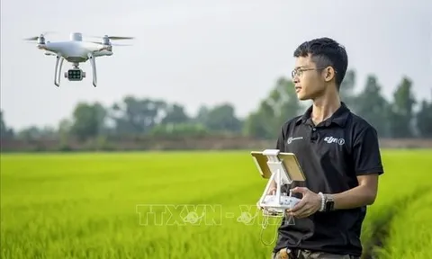 Kỹ sư trẻ với ước mơ 'bay cao' cùng nông nghiệp Việt