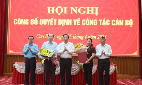 Kiện toàn nhân sự, lãnh đạo tại Cao Bằng và Hải Phòng
