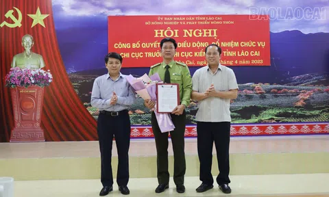Bổ nhiệm nhân sự, lãnh đạo tại Lào Cai và Thanh Hoá