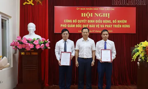 Cà Mau, Lào Cai bổ nhiệm nhân sự mới