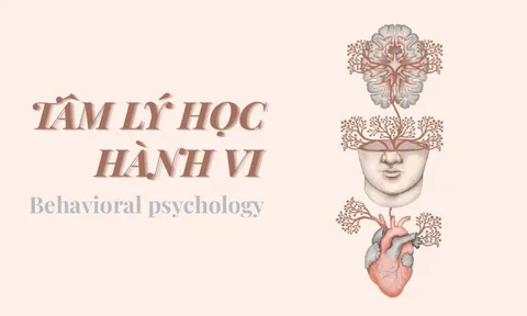 Phân Tích Tâm Lý Hành Vi, Thấu Hiểu Cảm Xúc Con Người