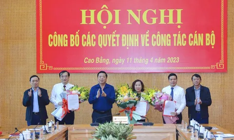 Điều động, bổ nhiệm nhân sự tại Cao Bằng và Hải Dương