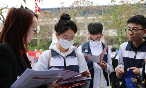 Những trường đại học nào đang đào tạo ngành bảo hiểm?
