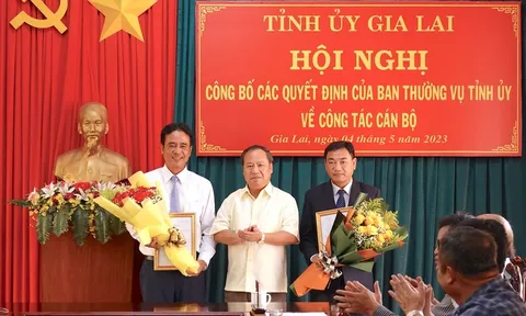 TP.HCM, Gia Lai bổ nhiệm nhân sự mới