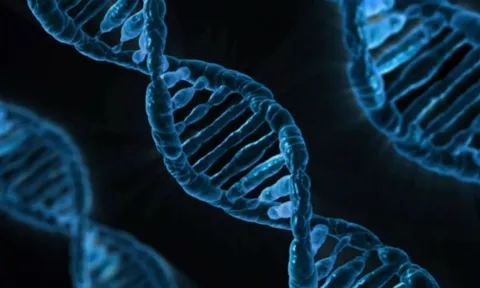 Em bé đầu tiên có DNA của 3 người chào đời tại Anh