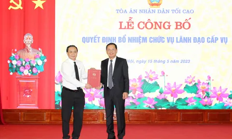 Tổng cục Thuế, TAND tối cao bổ nhiệm nhân sự