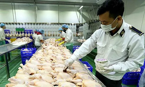 Công chức kiểm lâm, kiểm dịch động vật phải định kỳ chuyển đổi vị trí công tác