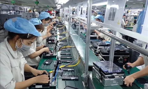 Những ngành nghề đang cắt giảm lao động