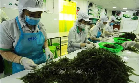 Thị trường lao động, việc làm đang đối mặt với nhiều khó khăn, thách thức