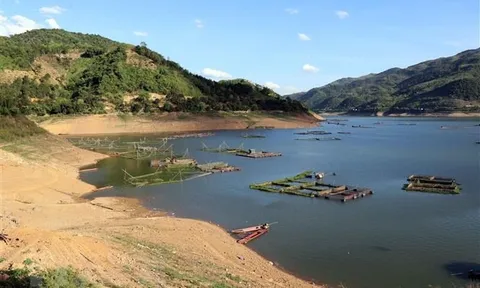Nước về hồ thủy điện tăng, nhiệt điện than không còn sự cố ngắn ngày
