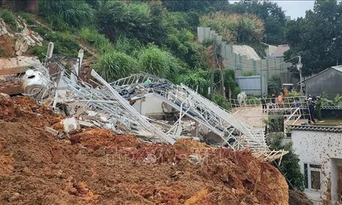Sạt lở kinh hoàng tại Đà Lạt: Cứu được 5 người; tiếp tục công tác cứu hộ, cứu nạn