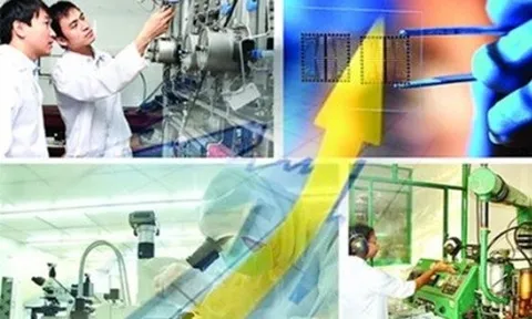 Kết nối, cập nhật dữ liệu vào Cơ sở dữ liệu quốc gia về khoa học và công nghệ