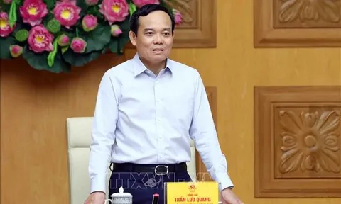 Phó Thủ tướng chủ trì họp Ban Chỉ đạo xây dựng và quản lý vị trí việc làm