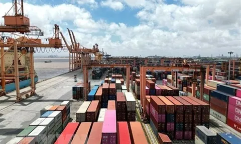 Vụ 5 container nghi bị lừa đảo tại Dubai: Lấp đầy lỗ hổng rủi ro