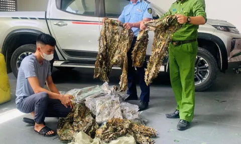 Bị phạt hành chính vì bán hàng chục bộ quần áo rằn ri