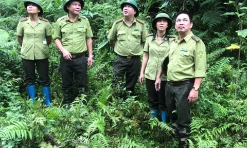 QUỸ BẢO VỆ VÀ PHÁT TRIỂN RỪNG TỈNH THÁI NGUYÊN: Hoàn thành tốt nhiệm vụ được giao mặc dù còn nhiều khó khăn