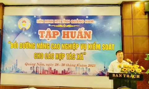 Quảng Nam: Tổ chức tập huấn nâng cao nghiệp vụ kiểm soát cho các Hợp tác xã