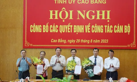 Bến Tre, Cao Bằng bổ nhiệm nhân sự mới