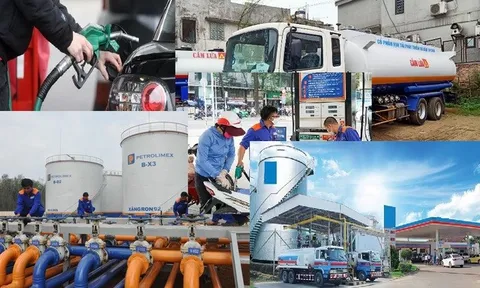 Thủ tướng chỉ đạo tập trung thực hiện hiệu quả các giải pháp bảo đảm cung ứng điện, xăng dầu