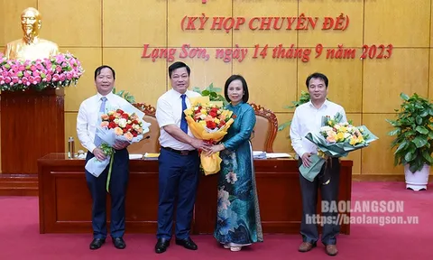 Điều động, bổ nhiệm loạt nhân sự tại An Giang và Lạng Sơn