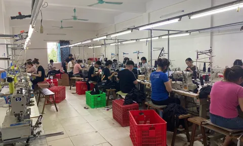 Thị trường lao động có nhiều khởi sắc trong quý 2/2023
