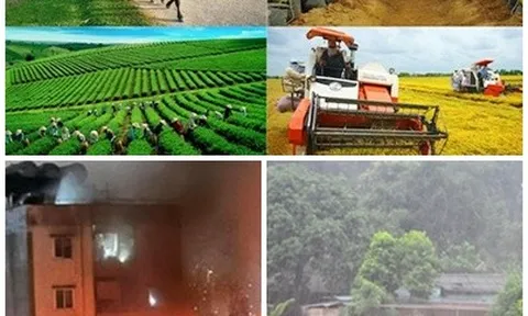 Chỉ đạo, điều hành của Chính phủ, Thủ tướng Chính phủ nổi bật tuần từ 11-15/9/2023