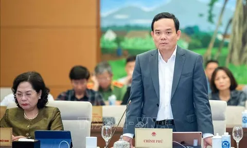 Xử lý có hiệu quả vấn đề sở hữu chéo trong các tổ chức tín dụng