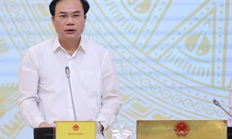 Thứ trưởng Bộ Xây dựng: 'Phát hiện rất nhiều sai phạm tại chung cư mini'
