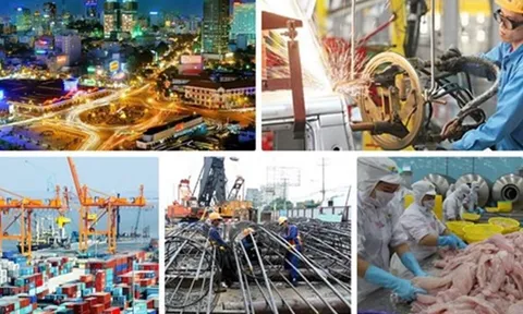 Phấn đấu hoàn thành đạt mức cao nhất các chỉ tiêu kế hoạch phát triển kinh tế - xã hội năm 2023