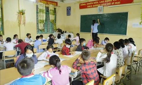 Tạo nguồn bổ sung giáo viên các cấp học