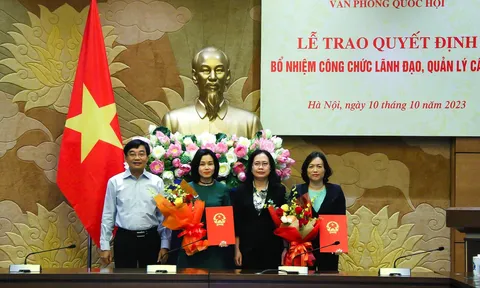 Thanh tra Chính phủ, Văn phòng Quốc hội kiện toàn loạt nhân sự mới