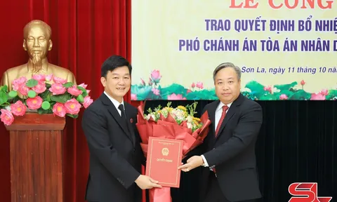 Điều động, bổ nhiệm nhân sự tại Tổng cục Thuế và TAND tối cao