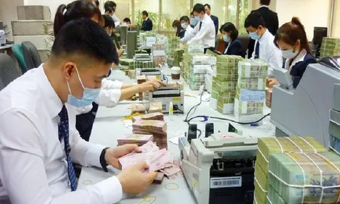 Các lĩnh vực người có chức vụ thuộc NHNN sau khi thôi chức không được thành lập doanh nghiệp
