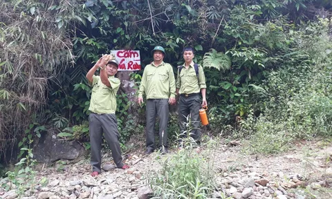 Quảng Nam: Tăng cường sự lãnh đạo của Đảng đối với công tác quản lý, bảo vệ rừng