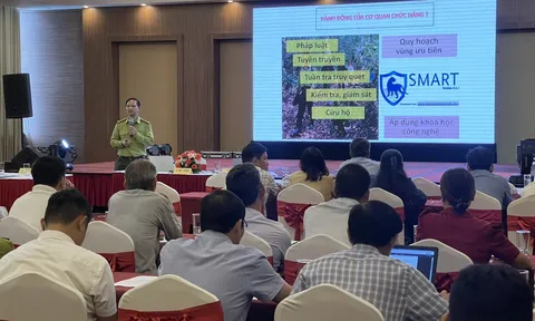 Tam Kỳ hướng tới thành phố không thịt động vật hoang dã