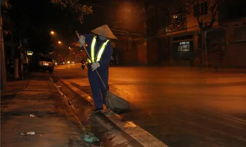 Những bông hoa lặng thầm làm đẹp cho thành phố