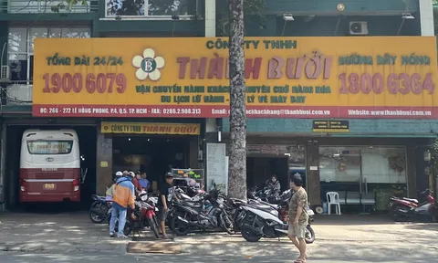 Xe Thành Bưởi tạm dừng hoạt động, các bến ở TP.HCM có bị ảnh hưởng?