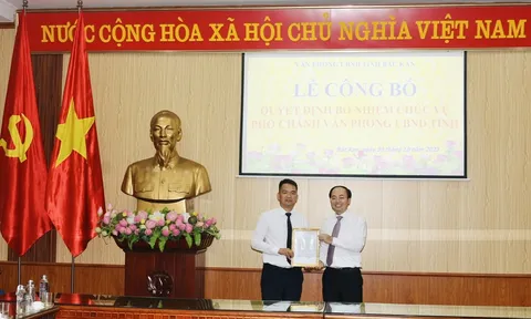 TP.HCM, Bắc Kạn bổ nhiệm nhân sự mới