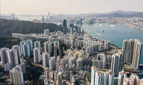 Cơ hội từ chính sách 'giữ chân người tài' ở Hong Kong