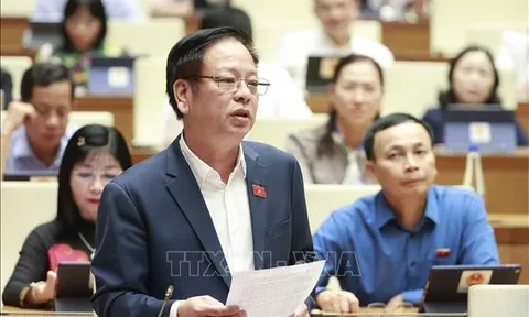 Gỡ vướng mâu thuẫn văn bản pháp luật sẽ khắc phục được tình trạng cán bộ sợ trách nhiệm