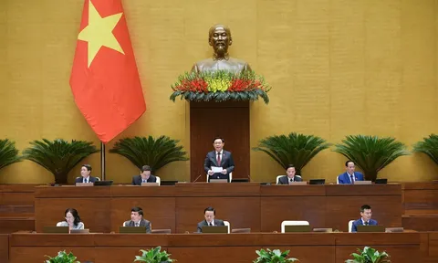 Đại biểu Quốc hội chất vấn Bộ trưởng Bộ Công Thương về vấn nạn hàng giả, hàng nhái