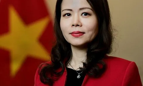 Thứ trưởng Nguyễn Minh Hằng kiêm Chủ nhiệm Uỷ ban Công tác về các tổ chức phi chính phủ nước ngoài