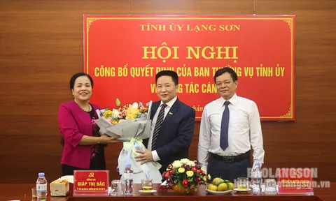Quyết định bổ nhiệm cán bộ tại Lạng Sơn, Bà Rịa - Vũng Tàu